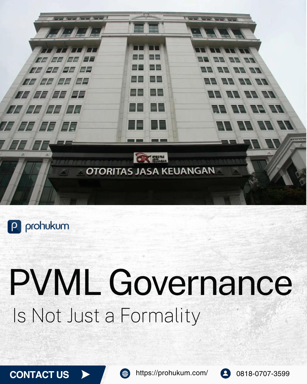 PVML Governance